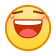 表情[hanxiao]-XHG官网
